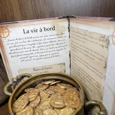 公寓 Chez Les Pirates Charme & Confort A 10 Min De Colmar Sainte-Croix-en-Plaine