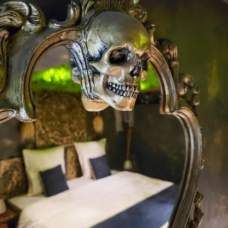 公寓 Chez Les Pirates Charme & Confort A 10 Min De Colmar Sainte-Croix-en-Plaine